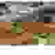 KTHPP36_118