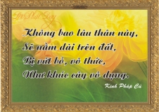 loi-phat-day101