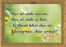 loi-phat-day20
