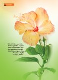 06_SuongMai_VHPG_154_12.indd