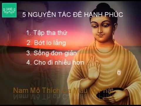 Tập Tha Thứ Tất Cả Trước Khi Ngủ