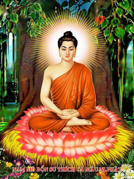 LHĐT – Ngày Vía Bổn Sư Thích Ca Mâu Ni Phật Thành Đạo