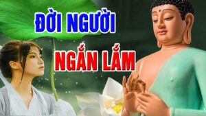 ĐỜI NGƯỜI NGẮN LẮM