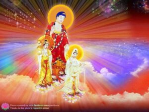 Thành kính phân ưu Tỳ Kheo Ni Thích Nữ Diệu Hiền